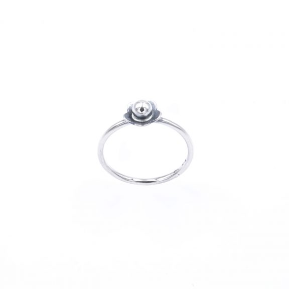 SUSI RING – Bild 2
