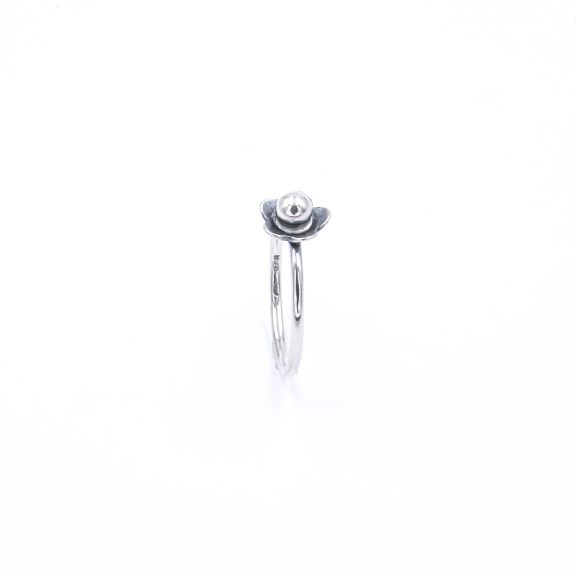 SUSI RING – Bild 3
